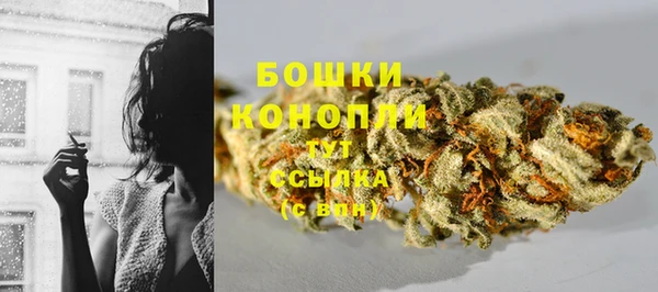 трава Горнозаводск