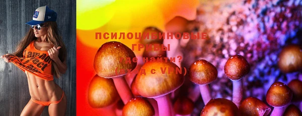 mix Вяземский