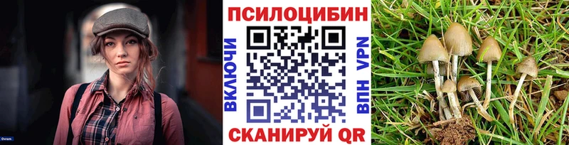 Псилоцибиновые грибы Psilocybe  Островной 
